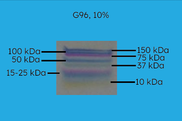 G96 Precast Gel, 10% Acrylamide, Molecular Weight Resolution