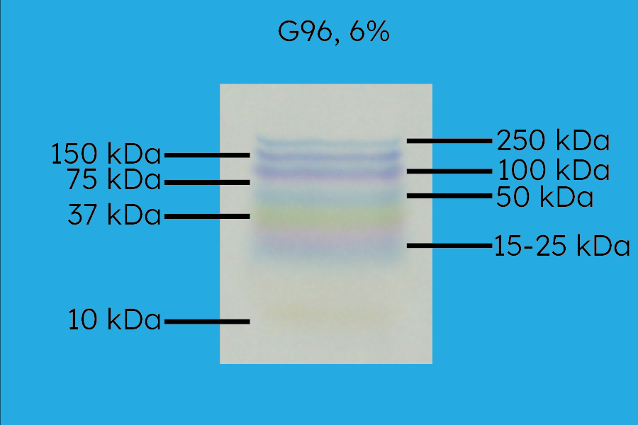 G96 Precast Gel, 6% Acrylamide, Molecular Weight Resolution